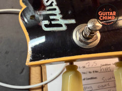 2008 Gibson Les Paul LP-295 Goldtop Bigsby OHSC Guitar of the Month