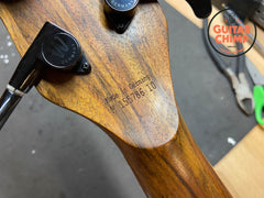 2010 Warwick Thumb Bass Bolt-On 4-String Made in Germany