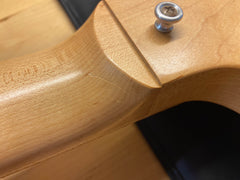 2009 Gibson SG Raw Power