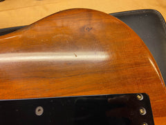 1978 Travis Bean TB2000