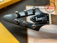 2008 Gibson GOTM “Guitar of The Month” Holy Flying V