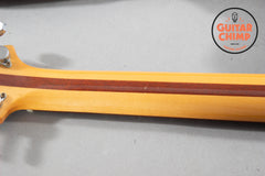 1995 Greco AP-1000 Dan Armstrong Lucite Plexi Reissue – Transparent Body, Japan MIJ