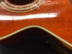 Epiphone Jeff "Skunk" Baxter Acoustic Electric Guitar