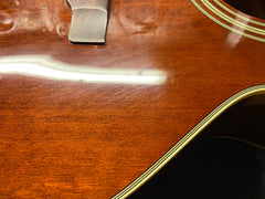 Epiphone Jeff "Skunk" Baxter Acoustic Electric Guitar