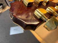 Epiphone Jeff "Skunk" Baxter Acoustic Electric Guitar