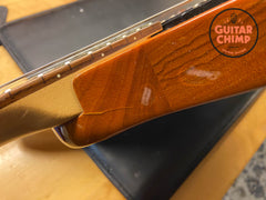 2004 Ibanez Destroyer DT-200