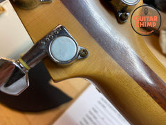 1995 Greco AP-1000 Dan Armstrong Lucite Plexi Reissue – Transparent Body, Japan MIJ