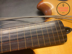 1986 Wal MK2 5-String Fretless