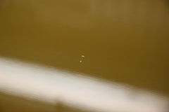 2012 Gibson Les Paul Jr. Billie Joe Armstrong Double Cutaway TV Yellow