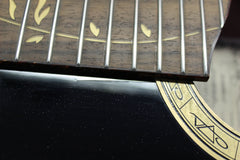 2011 Ibanez Euphoria Steve Vai Acoustic Electric with Case