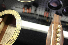 2011 Ibanez Euphoria Steve Vai Acoustic Electric with Case