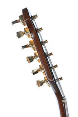 1976 Gibson Bicentennial Firebird