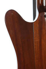 1976 Gibson Bicentennial Firebird