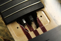 2016 Left-Handed Alembic Mark King 5 Deluxe Buckeye Burl ~Side LED's~