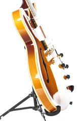 1993 Gibson ES-335 Autumn Burst