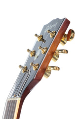 1993 Gibson ES-335 Autumn Burst