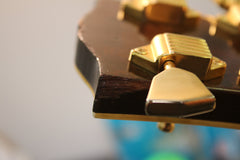 1970 Gibson Les Paul Personal -RARE-