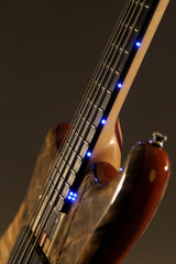 2016 Left-Handed Alembic Mark King 5 Deluxe Buckeye Burl ~Side LED's~