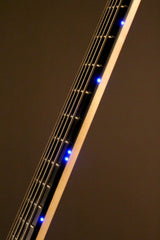 2016 Left-Handed Alembic Mark King 5 Deluxe Buckeye Burl ~Side LED's~