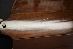 1976 Gibson Bicentennial Firebird