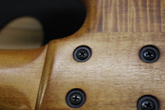 2002 Ken Smith BSR-5 5 String Bass