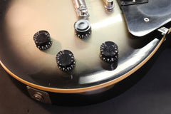 1989 Gibson Les Paul Standard Silverburst