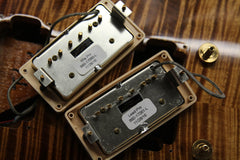 2017 Gibson Les Paul Limited Edition Premium Plus Tiger Burst #19/150