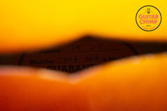 Gibson L5 Historic 1934 Reissue