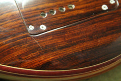 2006 Left-Handed Alembic Series II "Raging Bass" Coco Bolo ~Front & Side LEDs~