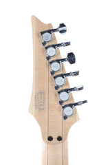 2010 Ibanez JEM77 FP2 Floral Pattern 2 Steve Vai