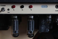 1999 Trainwreck Climax 1x12 Combo Amplifier