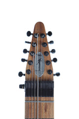 Chapman Stick 10 String