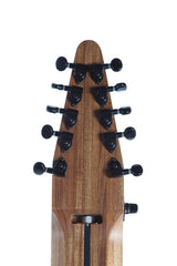 Chapman Stick 10 String