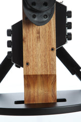 Chapman Stick 10 String