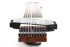 Chapman Stick 10 String