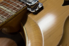 2014 Rickenbacker 381/12v69 12-String Mapleglo