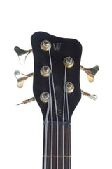 2000 Warwick FNA 5 String