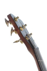 2000 Warwick FNA 5 String