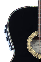 2011 Ibanez Euphoria Steve Vai Acoustic Electric with Case