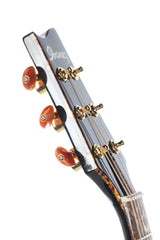 2011 Ibanez Euphoria Steve Vai Acoustic Electric with Case