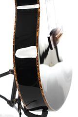 2011 Ibanez Euphoria Steve Vai Acoustic Electric with Case