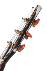 2011 Ibanez Euphoria Steve Vai Acoustic Electric with Case