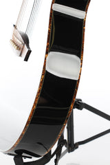 2011 Ibanez Euphoria Steve Vai Acoustic Electric with Case