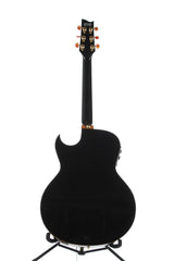 2011 Ibanez Euphoria Steve Vai Acoustic Electric with Case