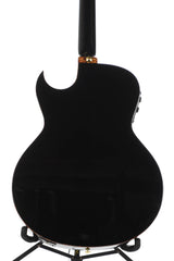 2011 Ibanez Euphoria Steve Vai Acoustic Electric with Case