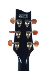 2011 Ibanez Euphoria Steve Vai Acoustic Electric with Case