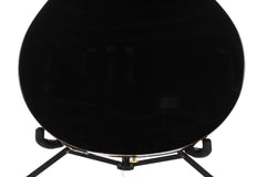 2011 Ibanez Euphoria Steve Vai Acoustic Electric with Case