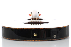 2011 Ibanez Euphoria Steve Vai Acoustic Electric with Case