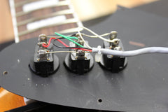 2013 Gibson Firebird VII Skunk Baxter Electric Guitar