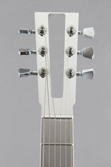 2018 EGC Electrical Guitar Company TT2 Aaron Turner Polished & Powder Coat Gray/Blue -All Aluminum-